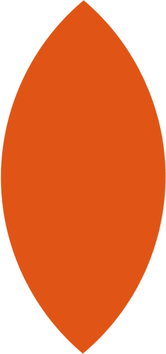 lotus petal 4.png