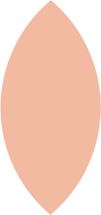 lotus petal 6.png